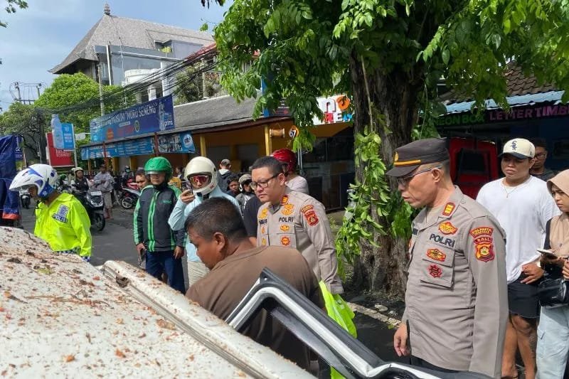 Pohon Tumbang Timpa Mobil, Seorang Meninggal Dunia 1 IMG 20250322 WA0045