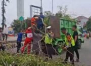 Dua Jemaah Shalat Id Tewas dan Dua Kondisi Kritis Tertimpa Pohon Tumbang