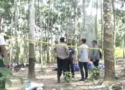 Berkas Perkara Kasus Sabung Ayam Hingga Tiga Polisi Tewas Dilimpahkan Polda Lampung ke Denpom