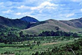 Lama Digagas, Apa Kabar Taman Nasional Meratus? 1 meratus