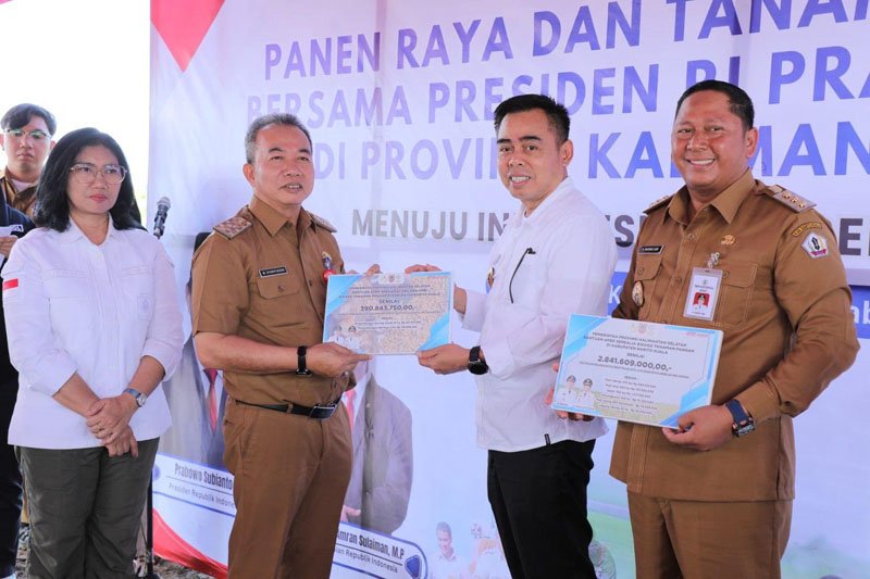 1 35 klm Kontrak Pemprov 7 Pj Sekdaprov Panen raya di Barito Kuala