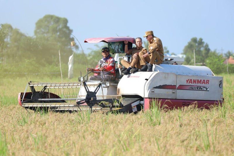 Naik Combine Harvester, Kalsel Kebagian 20 Hektare 1 1 4 klm 55 cm Panen serentak