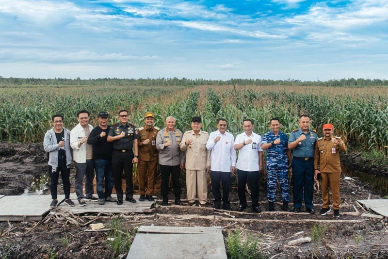 1 Kontrak Pemprov 15 Tinjau tanaman jagung dilahan rawa