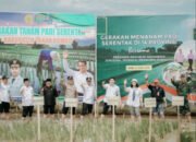 Bupati Tanbu Tandai Penanaman Padi Serentak Untuk Wilayah Kalimantan Selatan