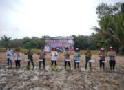 DPRD Balangan Dukung Percepatan Swasembada Pangan Nasional 24 DPRD Balangan Dukung Percepatan Swasembada Pangan Nasional