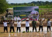 Tanam Padi Serentak di 14 Provinsi, Tanah Laut Ikuti dari Lok Serapang