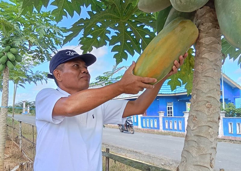 Hal 4 2 Klm Martapura Ketahanan pangan