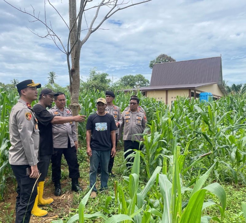 Hal 4 Kotabaru 4 klm 3