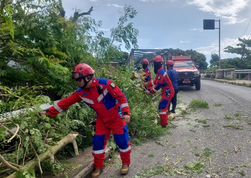 Hal 6 3 KLm Martapura Evakuasi pohon