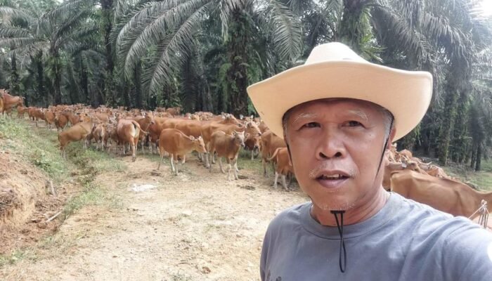 AKPJ Kampus Gratis Telah Terakreditasi BANPT, Kembali Terima Mahasiswa Baru
