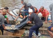 Korban Serangan Buaya di Desa Hanaut Kotim Ditemukan Meninggal Dunia