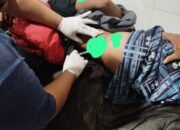 Buaya Terkam Warga Desa Batakan Saat Ingin Merempa