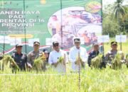Panen Serentak di 14 Provinsi, Bupati HSU Panen di Hambuku Hulu 53 Panen Serentak di 14 Provinsi, Bupati HSU Panen di Hambuku Hulu