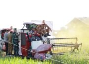 Panen Raya Serentak Dipusatkan Di Desa Panca Karya 26 Panen Raya Serentak Dipusatkan Di Desa Panca Karya