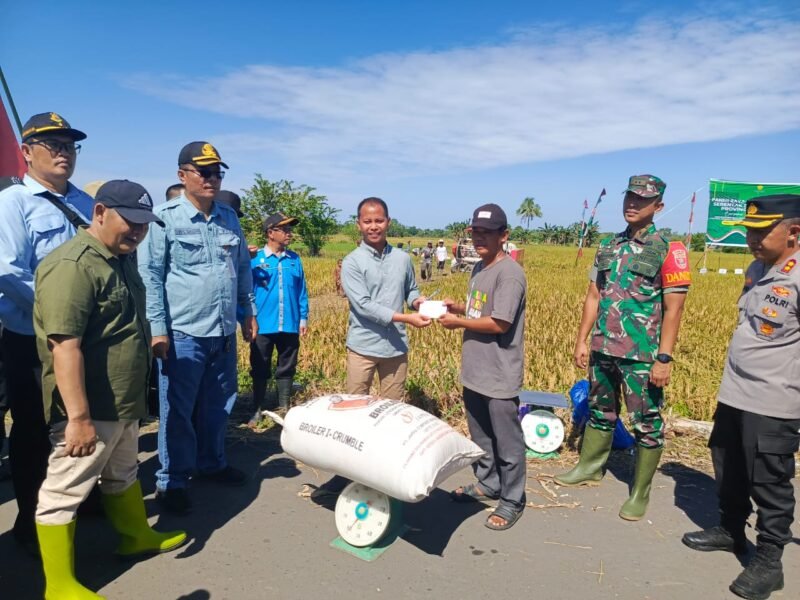 IMG 20250409 WA0018 e1744171392314