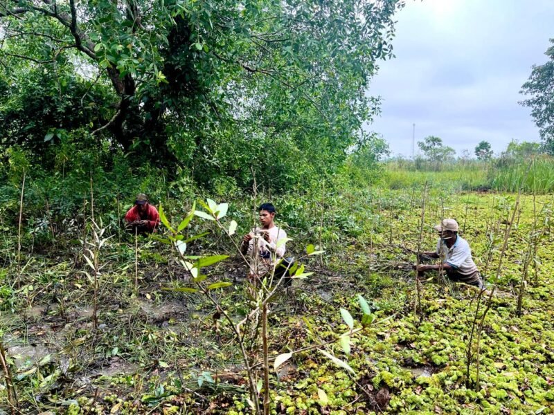 IMG 20250422 WA0024 e1745315102623