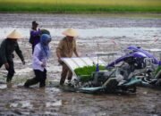 Gubernur Sebut Petani Bisa Hasilkan Rp65 Juta Setahun 11 Gubernur Sebut Petani Bisa Hasilkan Rp65 Juta Setahun