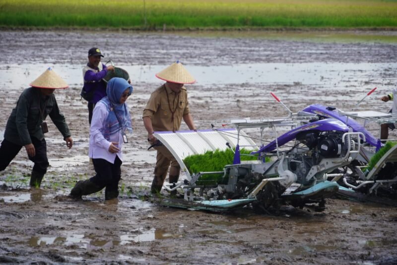 IMG 20250424 WA0001 e1745453730824