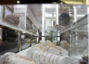 Harga Emas Antam - Galeri24 Naik dan UBS Turun 10 Harga Emas Antam – Galeri24 Naik dan UBS Turun