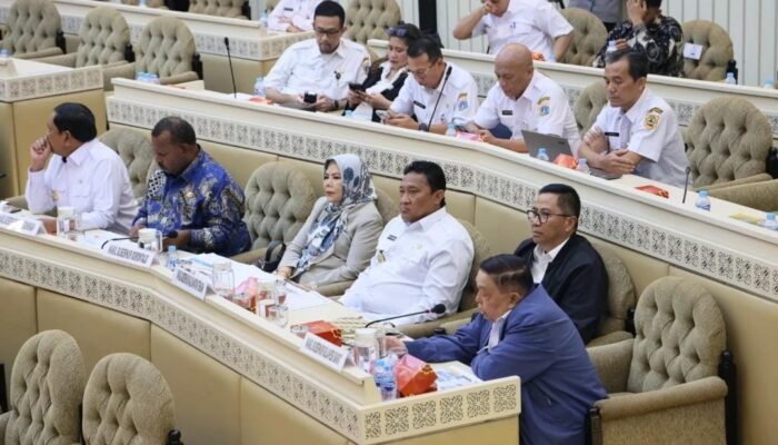 Wagub Kalteng Edy Pratowo RDP Bersama Komisi II DPR RI