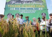 Contoh Ketahanan Pangan Desa