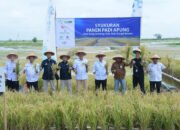 Sekda Apresiasi Ketekunan Petani Padi Apung Desa Siang Gantung 25 Sekda Apresiasi Ketekunan Petani Padi Apung Desa Siang Gantung