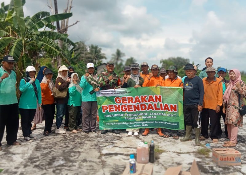 Distan-Petani Gempur Tungro di Sungai Tabuk 1 Hal 4 3 KLM MTP Petani