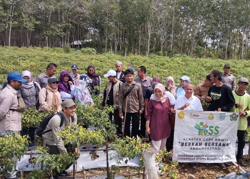 Hal 4 3 Klm Martapura Program Yess