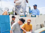 Genjot Ketahanan Pangan Lewat Budidaya Udang di Kotabaru