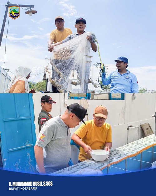 Genjot Ketahanan Pangan Lewat Budidaya Udang di Kotabaru 1 Hal 4 Kotabaru 4 klm 7
