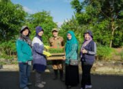 Kelurahan Mentaos Canangkan Gerakan Satu Rumah Satu Tanaman Cabai 34 Kelurahan Mentaos Canangkan Gerakan Satu Rumah Satu Tanaman Cabai