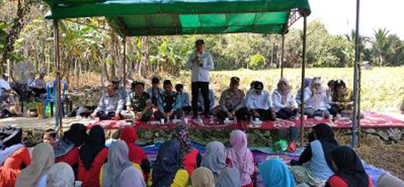 H Fani Launching Program Gema Jalin Smart 1 Hal 8 TABALONG Adv 1 3 klm 1