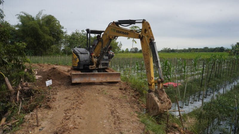 IMG 20250507 WA0092 e1746620379305