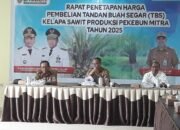 Harga Palm Kernel Kalteng Naik Sebesar Rp529 18 Harga Palm Kernel Kalteng Naik Sebesar Rp529