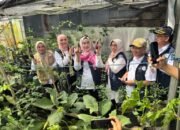 TP Posyandu Kalsel Dorong Revitalisasi 6 SPM