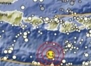 Gempa Bumi Magnitudo 5,2 di Lombok Tengah, Terasa hingga di Bali 31 Gempa Bumi Magnitudo 5,2 di Lombok Tengah, Terasa hingga di Bali