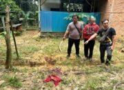 Tersinggung Dituduh Maling, SU Habisi Nyawa Warga Asal Sekapuk 30 Tersinggung Dituduh Maling, SU Habisi Nyawa Warga Asal Sekapuk