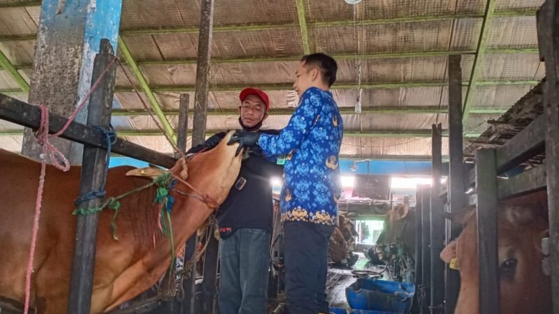 IMG 20250519 WA0033 e1747649943274