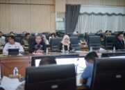 Pansus DPRD Kalsel Bahas RPJMD 2025 Bersama Perangkat Daerah