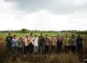 Dirjen Lahan dan Irigasi Kementerian Pertanian Tinjau Polder di HST 27 Dirjen Lahan dan Irigasi Kementerian Pertanian Tinjau Polder di HST