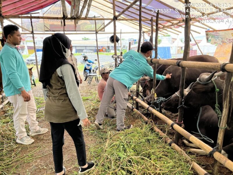 IMG 20250524 WA0030 e1748084343211