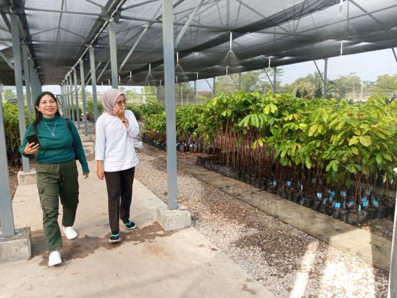 IMG 20250527 WA0007 e1748312974354