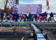 Tebar 170 Ribu Benih Ikan, Polda Kalsel Dukung Program Asta Cita 2 10 Tebar 170 Ribu Benih Ikan, Polda Kalsel Dukung Program Asta Cita 2