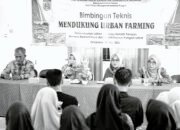 Pemko Banjarbaru Gelar Bimtek Pemanfaatan Lahan Sempit untuk Ketahanan Pangan 32 Pemko Banjarbaru Gelar Bimtek Pemanfaatan Lahan Sempit untuk Ketahanan Pangan