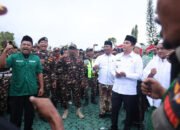 Pertama Kali Harlah Pemuda Ansor Ke 91 Diperingati di Tanbu