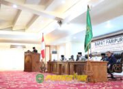 Bupati Tapin Sampaikan Raperda Pertanggungjawaban APBD 2024 8 Bupati Tapin Sampaikan Raperda Pertanggungjawaban APBD 2024