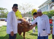 Sapi Limousin Bantuan Presiden Diserahkan untuk Kurban di Kabupaten Balangan 13 Sapi Limousin Bantuan Presiden Diserahkan untuk Kurban di Kabupaten Balangan