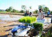 Tala Genjot Produksi Padi Bupati Serahkan Alsintan ke Brigade Pangan