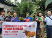 Seekor Sapi Qurban untuk Insan Pers Kotabaru