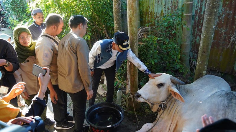 Hal 5 3 KLm Kontrak1